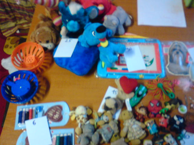 DSC00063.JPG