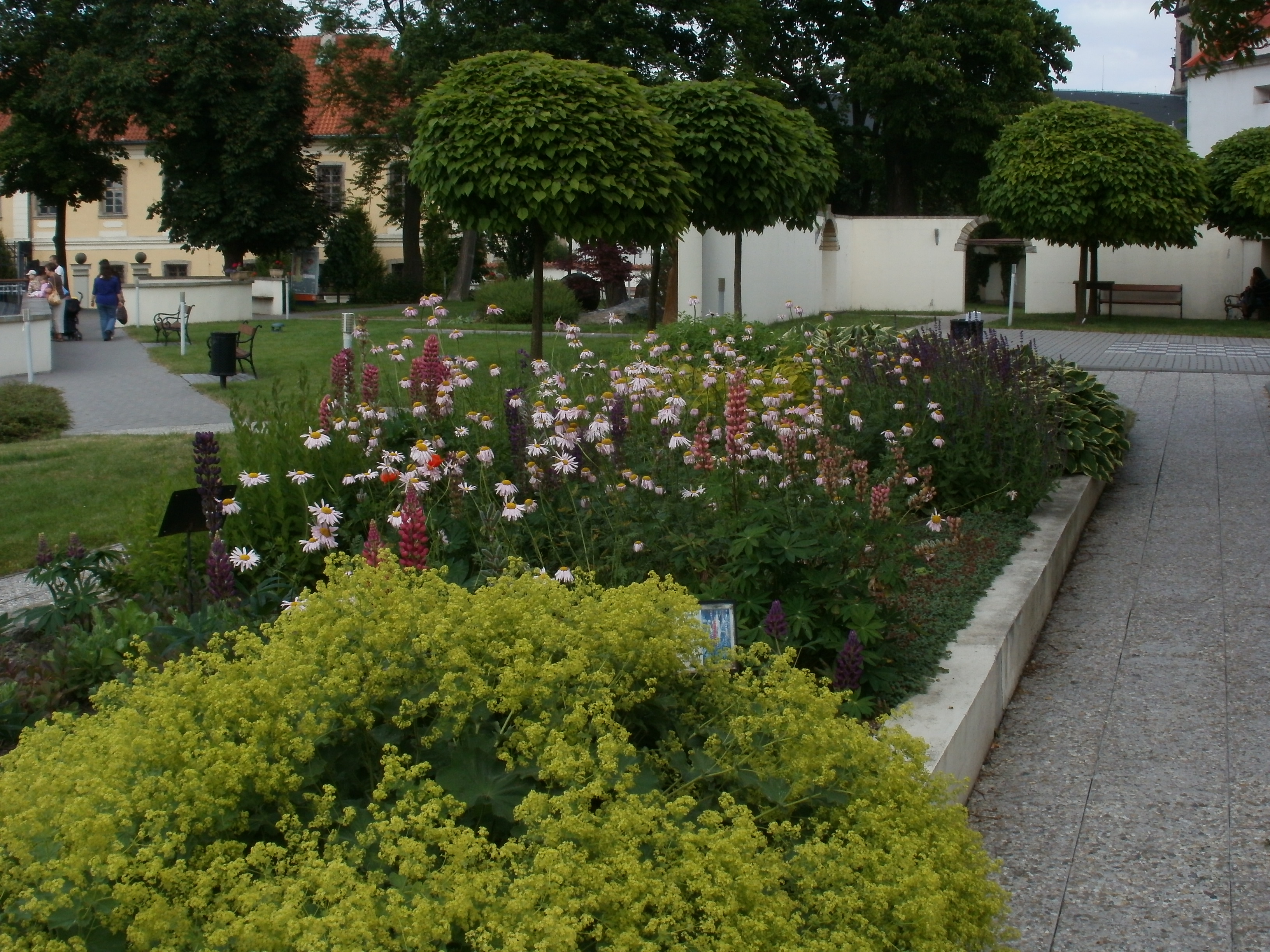 P6240290.JPG